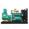 Buy cheap 10-600kw Silent natural gas generator 220v lpg/biogas as fuel from wholesalers