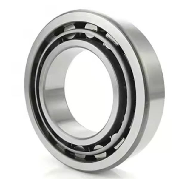 Buy cheap NJ324 42324 Cylindrical Roller Bearing Single Row 120*260*55mm from wholesalers