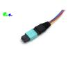 Buy cheap OM3 12F MPO Trunk Cable 50 / 125μm MPO Male to LC UPC Fanout 0.9mm LSZH 0.3M Senko Low Insertion Loss from wholesalers