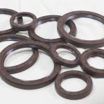 Metal Dust Lip Skeleton Oil Seal for 180*220*16mm Rotary Shaft in Any Color