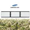 Buy cheap SAMSUNG 301B Quantum Board Led Grow Light 320W For Greenhouse Project from wholesalers