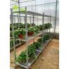 Buy cheap Dutch Plant And Flower Display Cart Greenhouse Nursery Transport Trolleys from wholesalers
