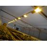 Buy cheap Wet Curtain Controlled Inlluminating Greenhouse for 2000.000kg Package Gross Weight from wholesalers
