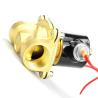 Buy cheap AC DC 12V 24V 110V 220V Brass Solenoid Water Valve With Pure Copper Enameled Wire Coil from wholesalers