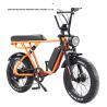 Buy cheap Double Disc Brake 48V 1000W Motor Ebike 20 Inch Electric Fat Tire Bicycle With Kenda Tire from wholesalers