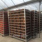Flower Logistics Turnover Standard Danish Container Metal Mesh Material Flower