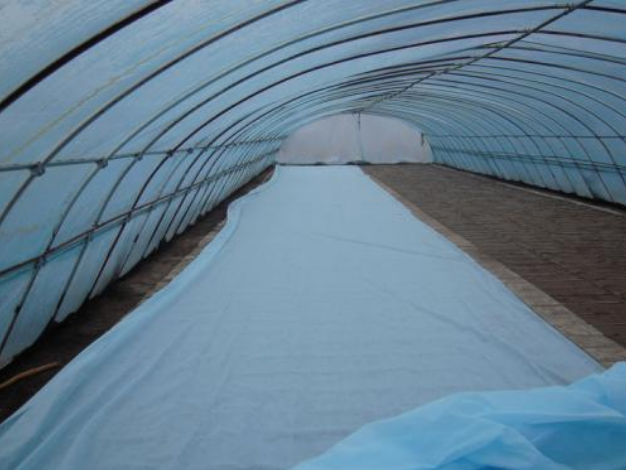 Width 10-320cm Nonwoven 100% PP Spunbond Non Woven Fabric for Bed Sheet Packaging