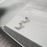 Zirconia Ear Studs for Women's Vermeil Jewelry Iced Out Earrings