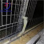 Chicken Cage Feeding Adjusting Arm For Poultry Chicken Farm
