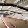 Buy cheap Automatic Steel Structure Poultry Farm Shed Design Modern Chicken House from wholesalers
