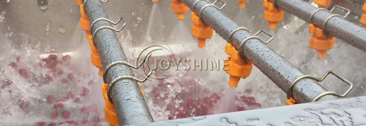 Tomato/Strawberry Cleaning Machine with Lifting Function and Multifunctional Function