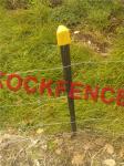 1.5 M Length Metal Fence Posts Hot Dipped Galvanized Bulk Star Pickets