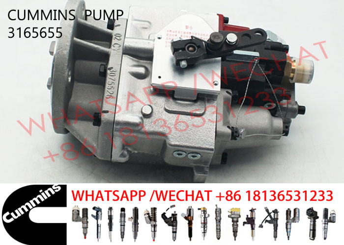 3165655 Diesel Injection Pump 3165401 4060993 3419494 3165437 3165457