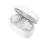 Long Playing Time BT 5.0 TWS ANC Earbuds IPX4 10m Type C Connectors