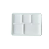 Buy cheap 5 Compartment Biodegradable Serving Trays product