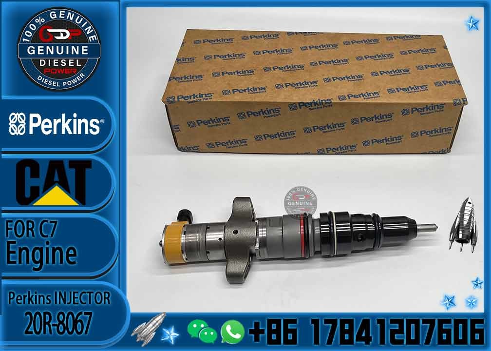 Diesel Engine Parts Common Rail Fuel Injector 20R-8067 for CAT C7 Diesel Engine CNDIP Factory price