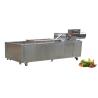 Buy cheap 1500Kg/h Food Processing Machinery Transmission Net Chain Vegetable Washing Equipment from wholesalers