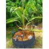 Buy cheap Fashion style air tank Root Control Black Pot hydroponic growing systems for wholesales from wholesalers