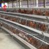 Buy cheap Layer Cage System Perfect Solution For Poultry Industry Capacity 2-4 Birds/Cell Adela from wholesalers
