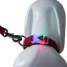 Buy cheap Sustainable Reflective Fray Proof Pet Collars Leashes/pet products from wholesalers