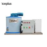 CE Standard Flake Ice Making Machine Small Capacity Supermarket Use
