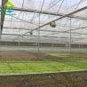 Buy cheap Multispan 4 Season Plastic Film Insect Net Greenhouse For Cucumbers from wholesalers