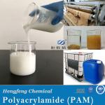 Water Treatment Chemical Cationic Polymer Flocculant Polyacrylamide