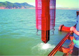 Wholesale IP65 Electric Vibration Pile Driver 50 Kg Black & Grey from china suppliers