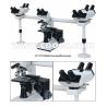 Buy cheap 1000x Multi Viewing Microscope Penta Head Microscopes A17.1013-C from wholesalers