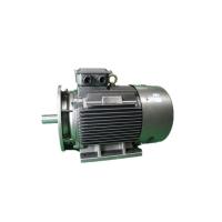 Buy cheap IMB3 Low Voltage 3 Phase Motor YE3 315L-4 185kW Asynchronous Electric Motor product