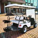 ODM Electric Street Legal Electric Carts 72V Golf Cart Buggies 50km Range