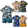 Buy cheap Short Sleeved Children's Outfit Sets Summer Shorts Cotton Kids Clothing from wholesalers