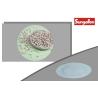 Buy cheap OEM Impact Resistance PP Reprocessed Plastic Granules With FDA 177.1520 from wholesalers