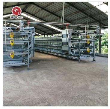 Buy cheap 3-9 Floor Farm Battery Chicken Cage With Automatic System from wholesalers