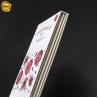 Buy cheap Cosmetic Facial Mask Skincare Packaging Box Full Color Printing Paper Boxes from wholesalers
