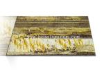 Anti Mould Composite Metal Wall Panels Stone Finishing ACP Roofing Sheet