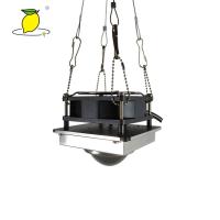 Buy cheap Led Full Spectrum Grow Lamp indoor Phyto Light Growth Floodlight For Plant product