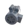 Buy cheap 48 56 Frame Single Phase AC Induction Motor 60hz Capacitor Start Run Motor For Spray Washers from wholesalers