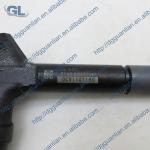 Original New Common Rail Fuel Injector 095000-7160 095000-7162 DCRI107160