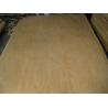 Buy cheap Rotary Cut Birch Veneer Sheet, Face/Back Grade from wholesalers
