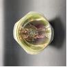 Buy cheap LW751i LWU701i LX801i 00300533601 320W Christie Projector Lamps from wholesalers