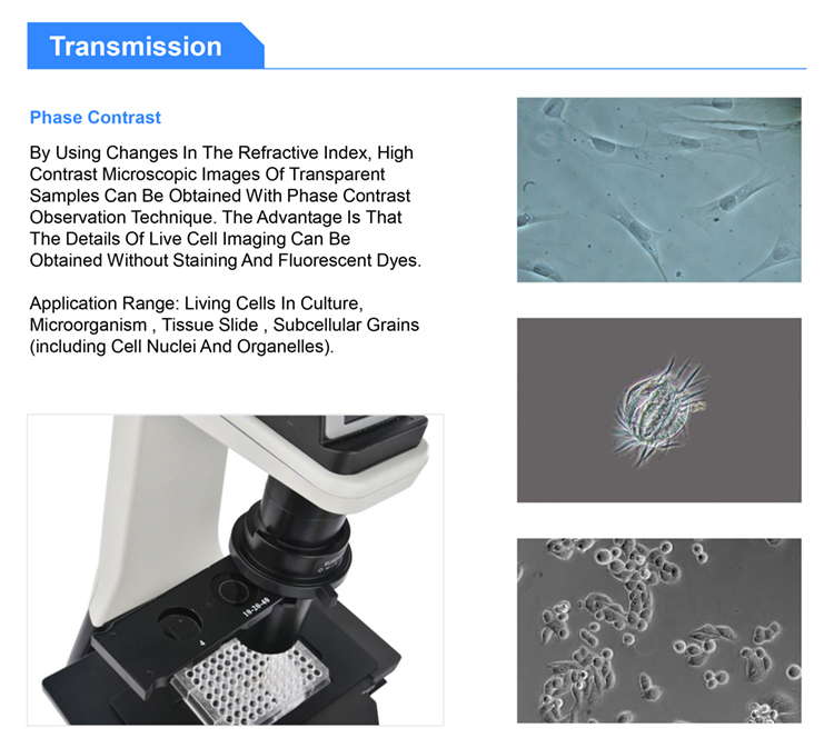 OPTO EDU A14.1063 Inverted Optical Microscope , Phase Contrast Microscope Magnification 4x
