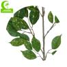 Buy cheap Fabric 70cm Artificial Ficus Leaves For Landscaping Decoration from wholesalers
