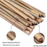 Natural Bamboo Plant Support Stakes for Indoor Plants, Bamboo Sticks Poles