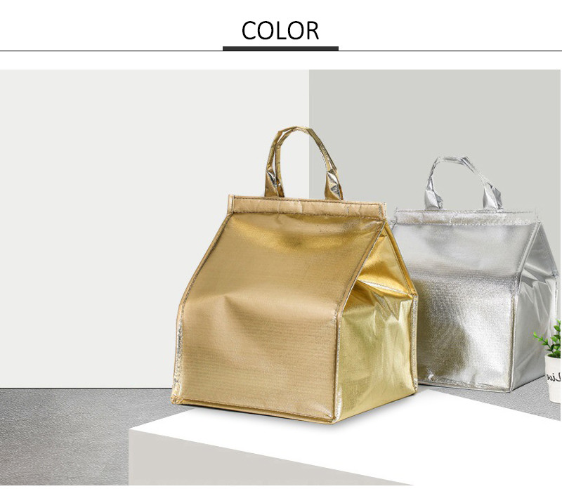 Insulated L28cm Picnic Food Bag for Outdoor Lunch