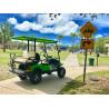 Buy cheap 2 Seater Golf Buggy Golf E Car from wholesalers