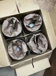 6D22 Mitsubishi Heavy Industries Spare Parts Piston ME052792 8DC93 ME093424