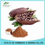 Premium Quality Low Fat Healthy Food Ingredient Cocoa Powder