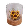 Buy cheap Toxicless Odorless Glass Jar Cork Wood Base Groove 2.5 Inch for Micro Landscape from wholesalers
