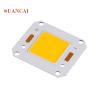 Buy cheap 30v 32v 60w 80w 100w 6000K 4046 2424 Floodlight COB Chip from wholesalers